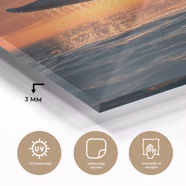 Glas schilderij - Walvis staart - Water - Zonsondergang — 3