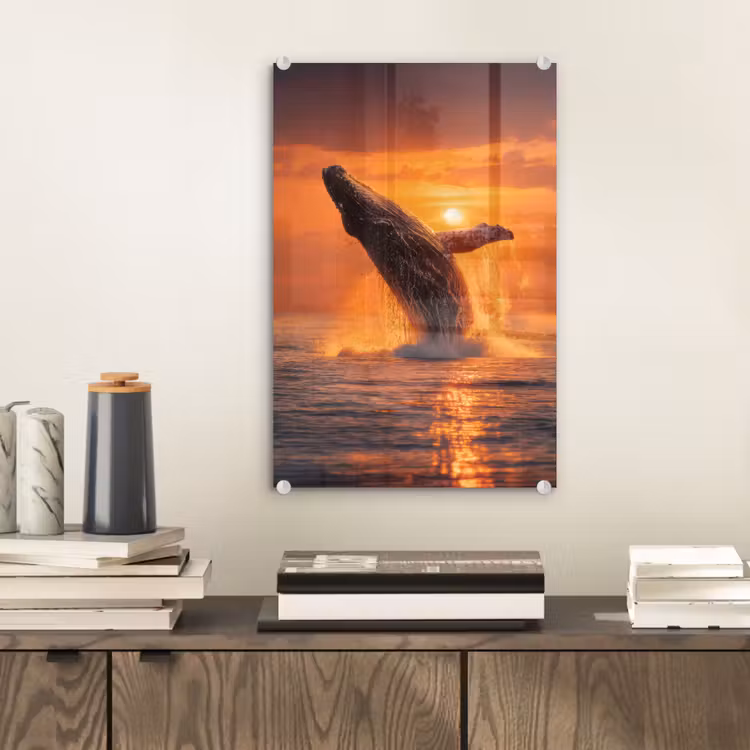 Glas schilderij - Walvis - Zon - Zee — 2