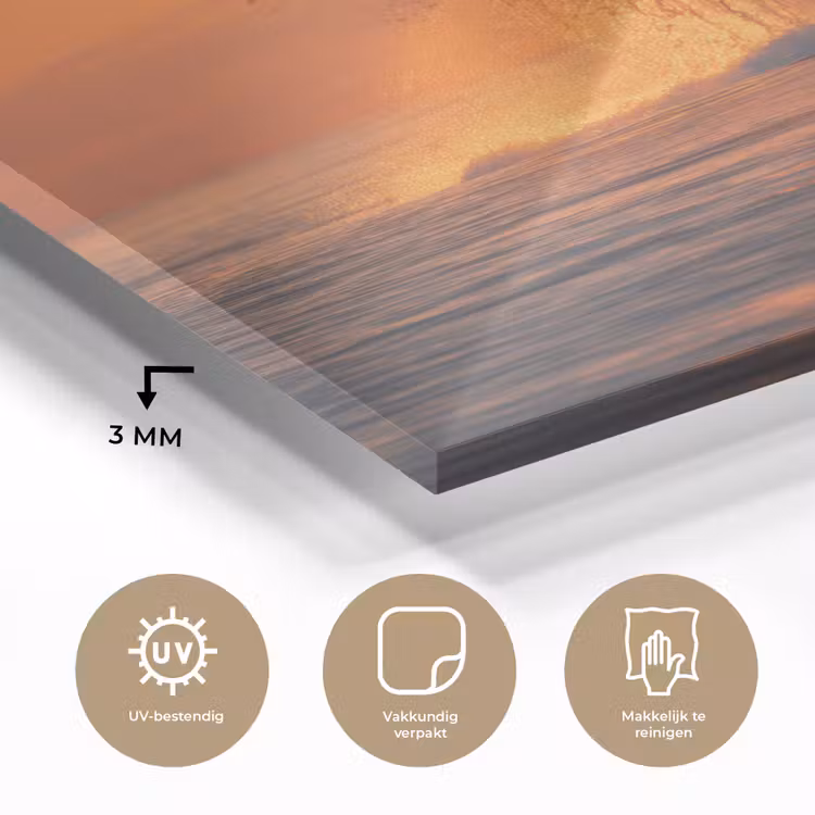 Glas schilderij - Walvis - Zon - Zee — 3