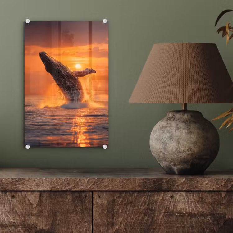 Glas schilderij - Walvis - Zon - Zee — 4