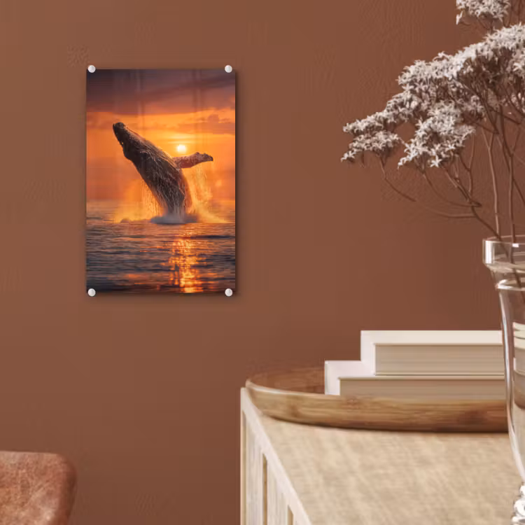 Glas schilderij - Walvis - Zon - Zee — 6