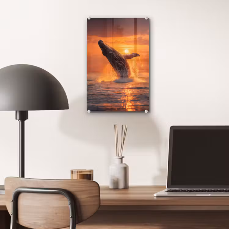 Glas schilderij - Walvis - Zon - Zee — 7