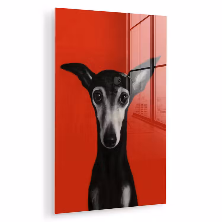 Glas schilderij - Windhond - Minimalistisch - Rood — 1