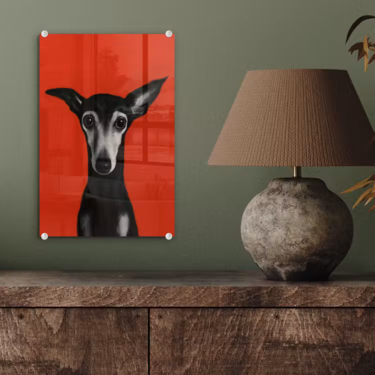 Glas schilderij - Windhond - Minimalistisch - Rood — 4