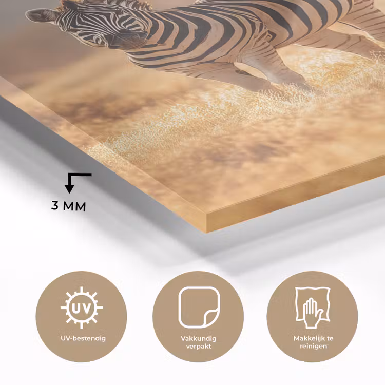 Glas schilderij - Zebra's - Savannelandschap - Gras — 3