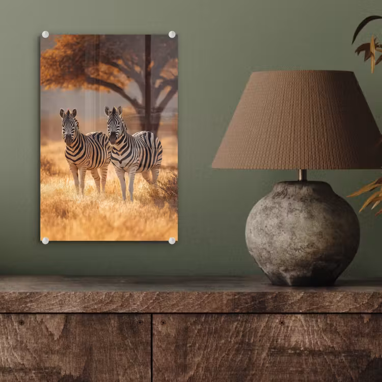Glas schilderij - Zebra's - Savannelandschap - Gras — 4