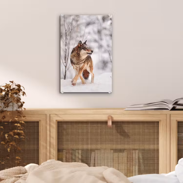 Glas schilderij - Wolf - Winter - Sneeuw - Natuur - Dieren — 5