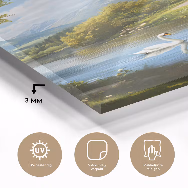 Glas schilderij - Zwaan - Bomen - Rust — 3