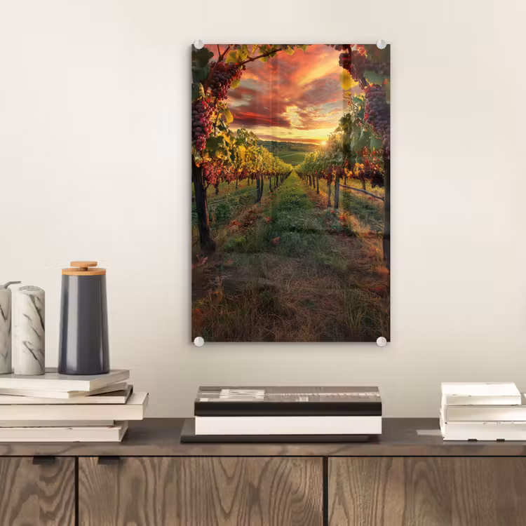 Glas schilderij - Wijngaard - Druiven - Zonsondergang — 2
