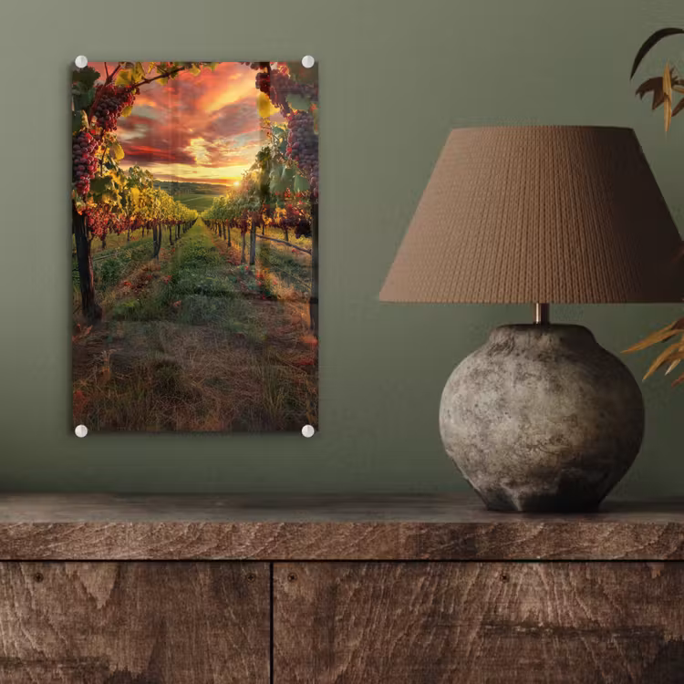Glas schilderij - Wijngaard - Druiven - Zonsondergang — 4