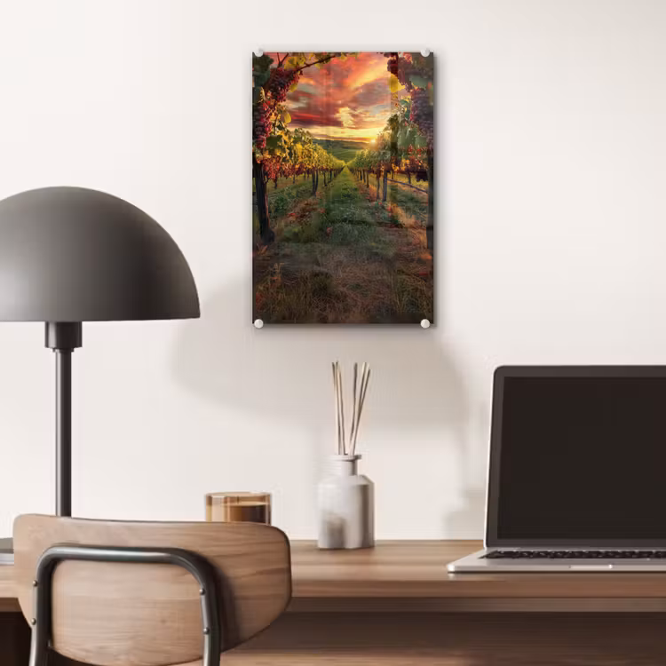 Glas schilderij - Wijngaard - Druiven - Zonsondergang — 7