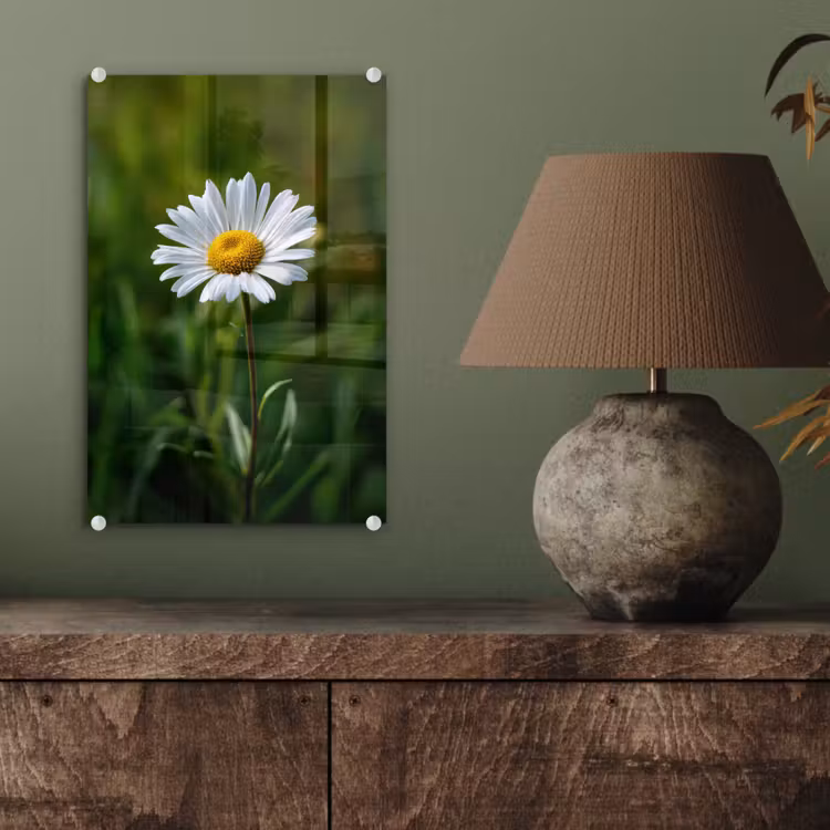 Glas schilderij - Wit - Madeliefje - Bloem - Gras — 4