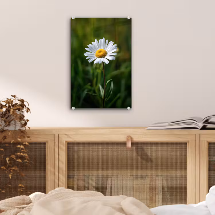Glas schilderij - Wit - Madeliefje - Bloem - Gras — 5