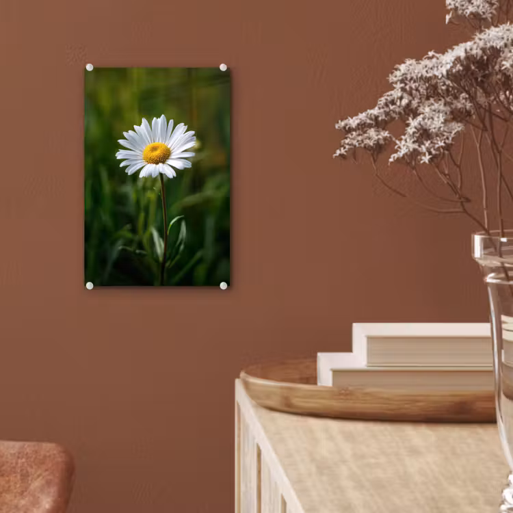 Glas schilderij - Wit - Madeliefje - Bloem - Gras — 6