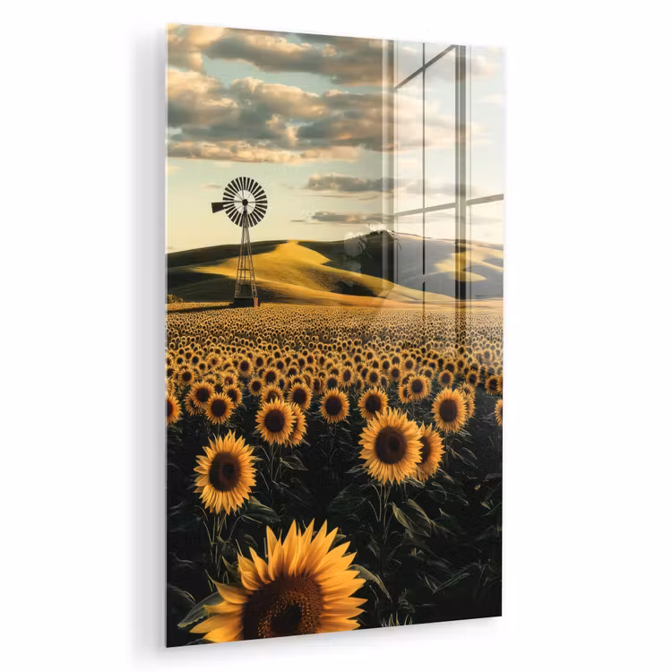 Glas schilderij - Zonnebloem - Veld - Windmolen — 1