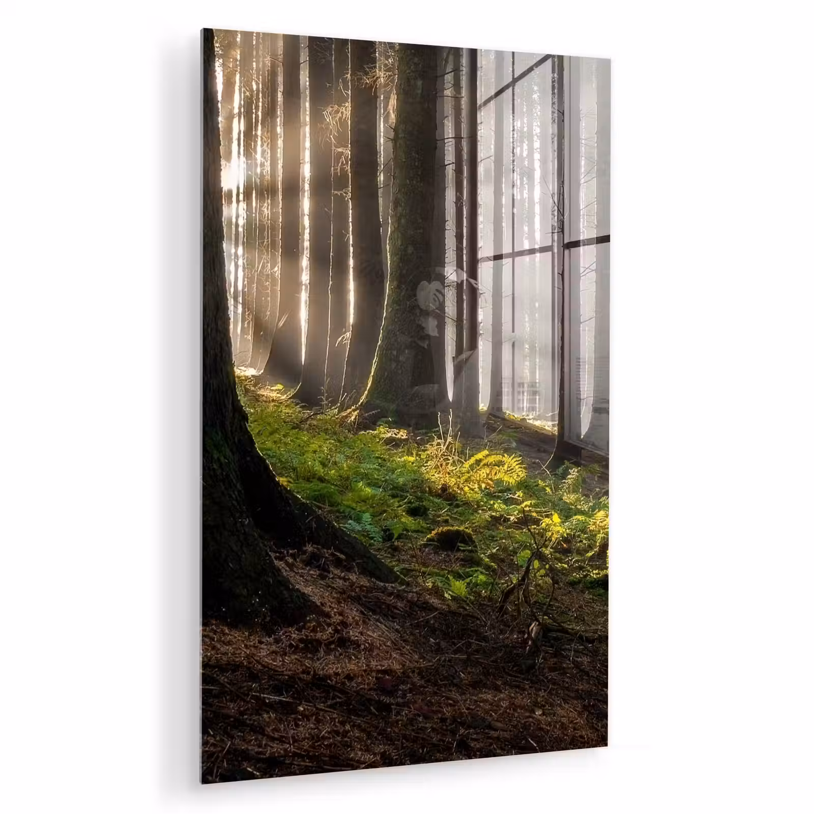 Glas schilderij - Zon - Takken - Bomen - Bos - Natuur — 1