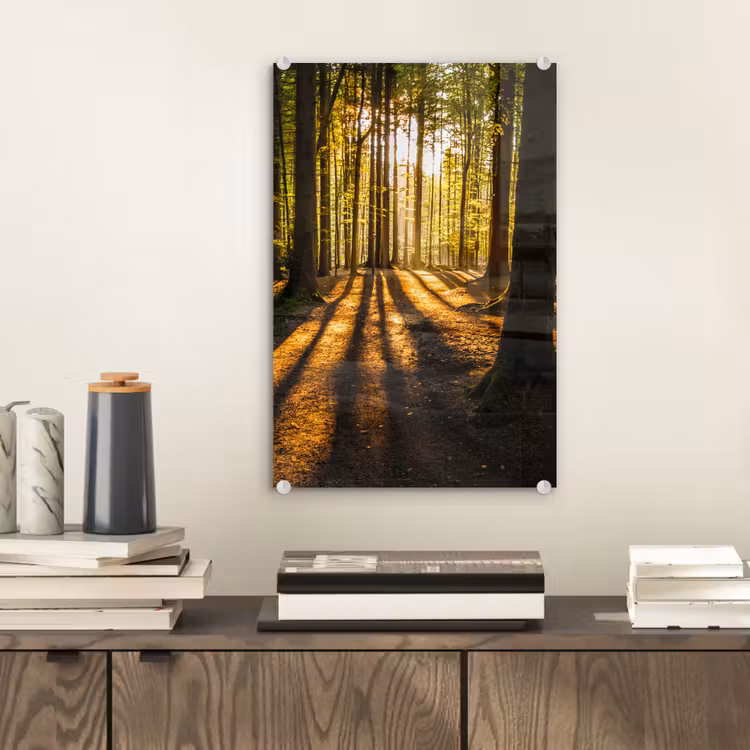 Glas schilderij - Zon - Bomen - Bos - Landschap - Natuur — 2
