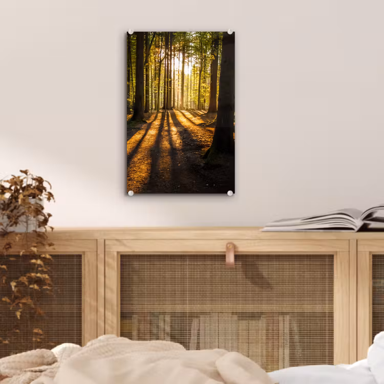 Glas schilderij - Zon - Bomen - Bos - Landschap - Natuur — 5