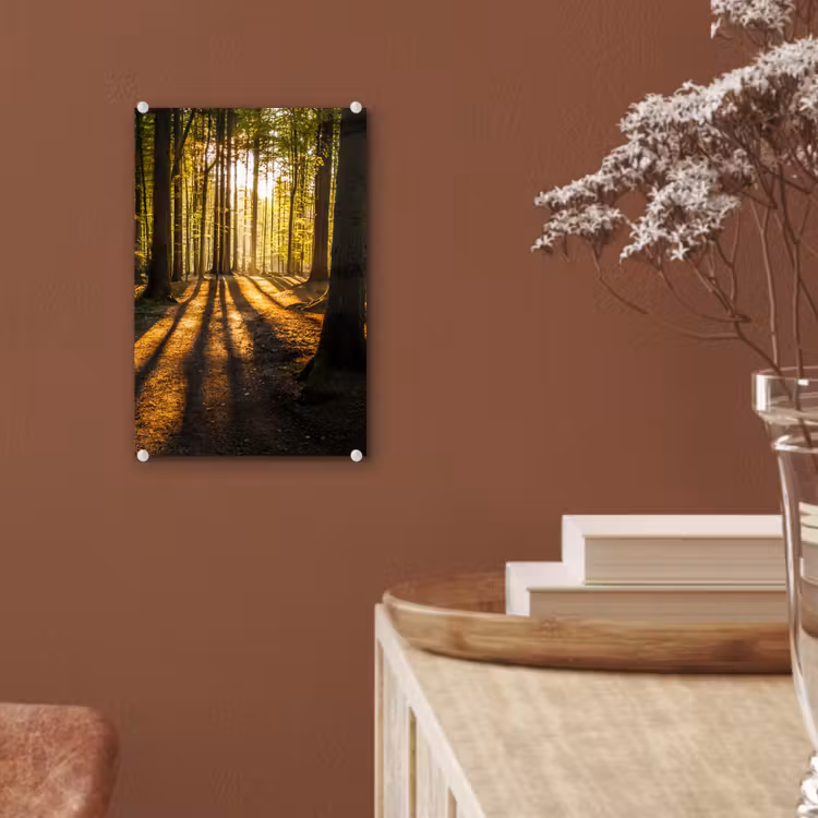 Glas schilderij - Zon - Bomen - Bos - Landschap - Natuur — 6