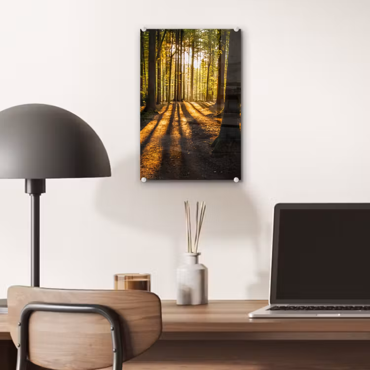 Glas schilderij - Zon - Bomen - Bos - Landschap - Natuur — 7