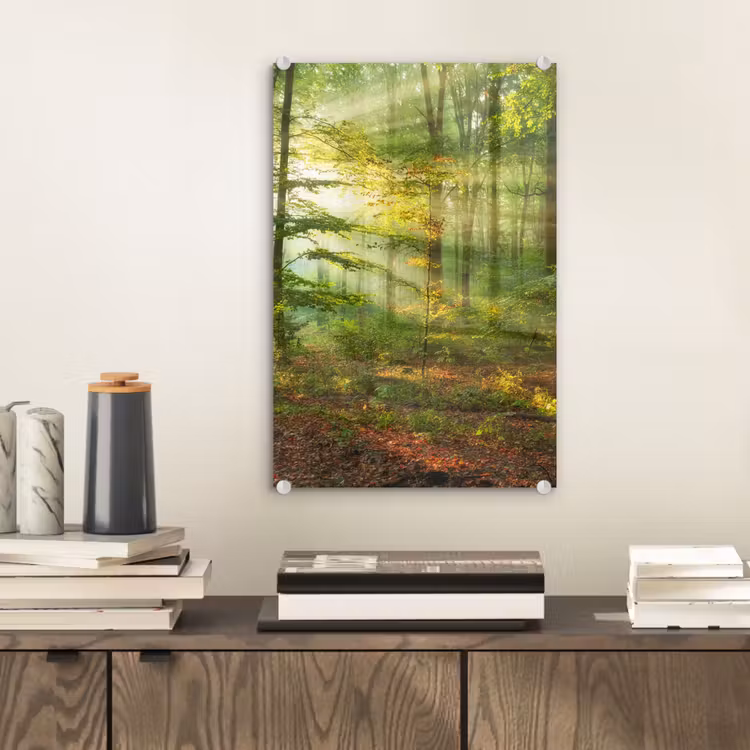 Glas schilderij - Zon - Bos - Bomen - Natuur - Herfst — 2