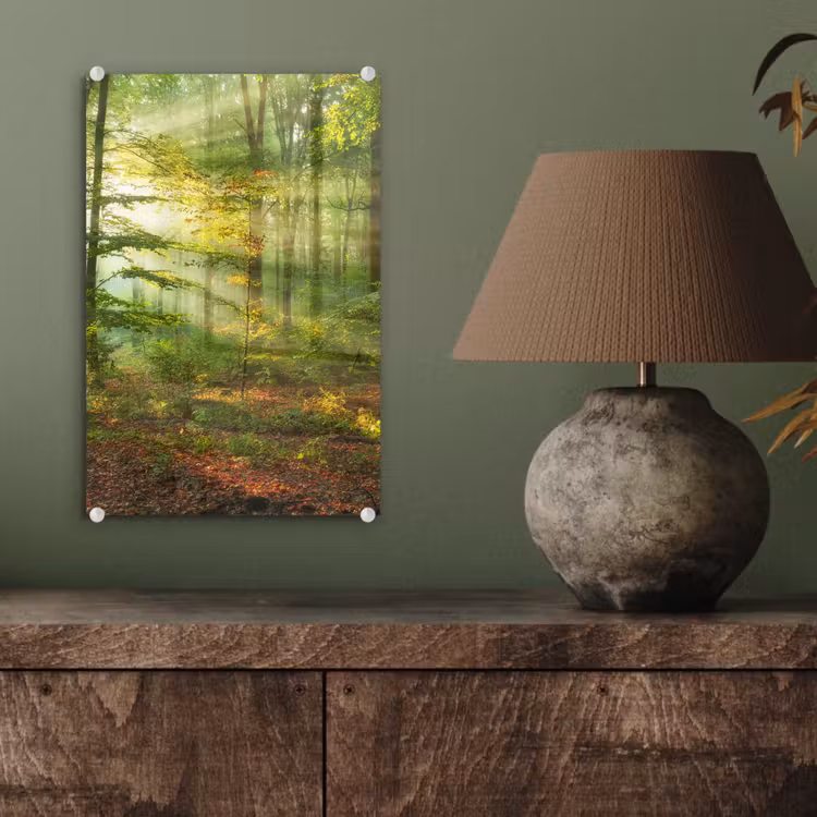 Glas schilderij - Zon - Bos - Bomen - Natuur - Herfst — 4
