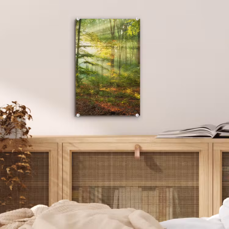 Glas schilderij - Zon - Bos - Bomen - Natuur - Herfst — 5