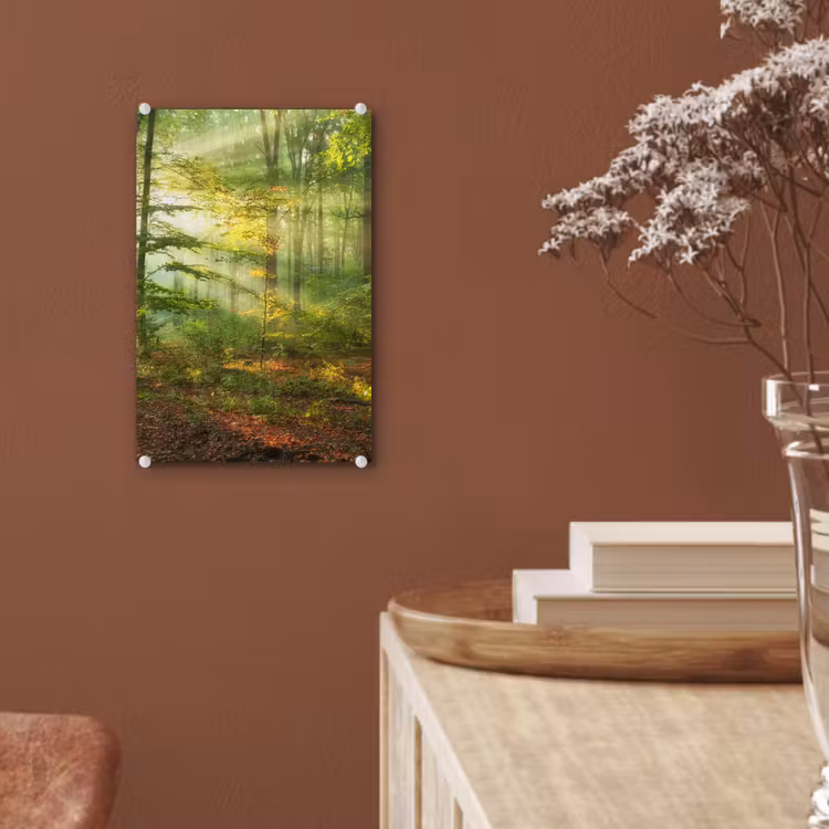 Glas schilderij - Zon - Bos - Bomen - Natuur - Herfst — 6