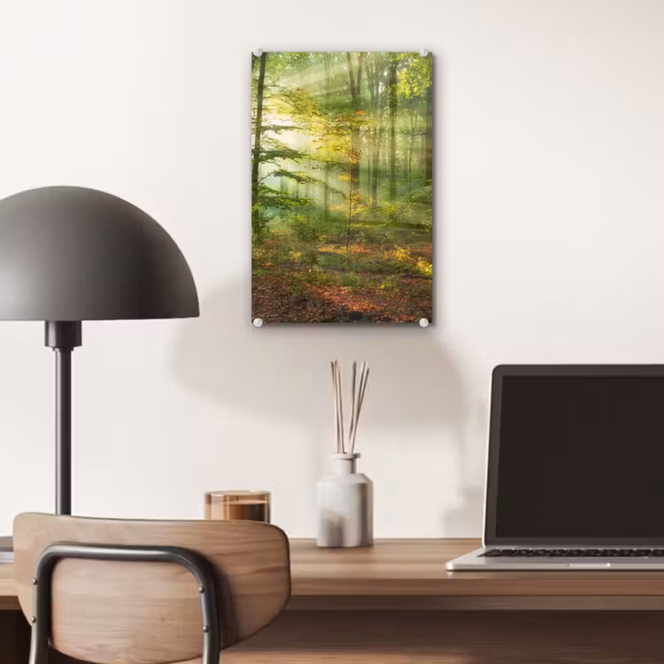 Glas schilderij - Zon - Bos - Bomen - Natuur - Herfst — 7