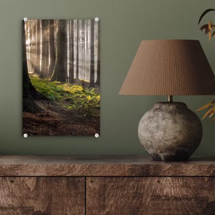 Glas schilderij - Zon - Takken - Bomen - Bos - Natuur — 4