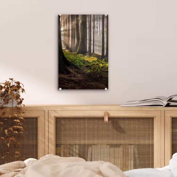 Glas schilderij - Zon - Takken - Bomen - Bos - Natuur — 5