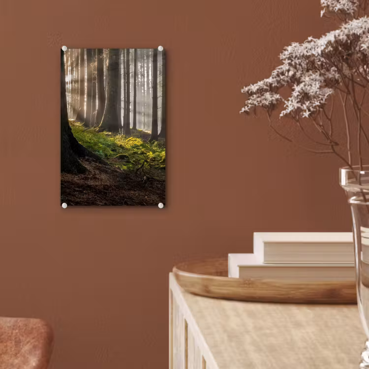 Glas schilderij - Zon - Takken - Bomen - Bos - Natuur — 6