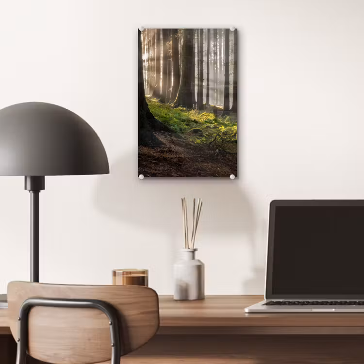 Glas schilderij - Zon - Takken - Bomen - Bos - Natuur — 7