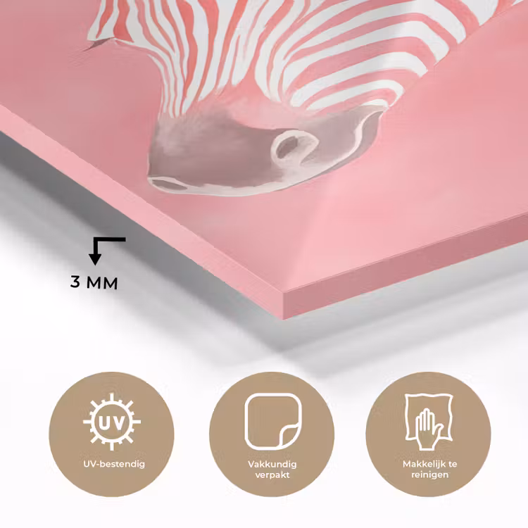 Glas schilderij - Zebra - Pink - Verf — 3