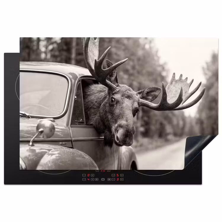 Inductie beschermer - Eland - Auto - Gewei - Zwart - Wit — 2