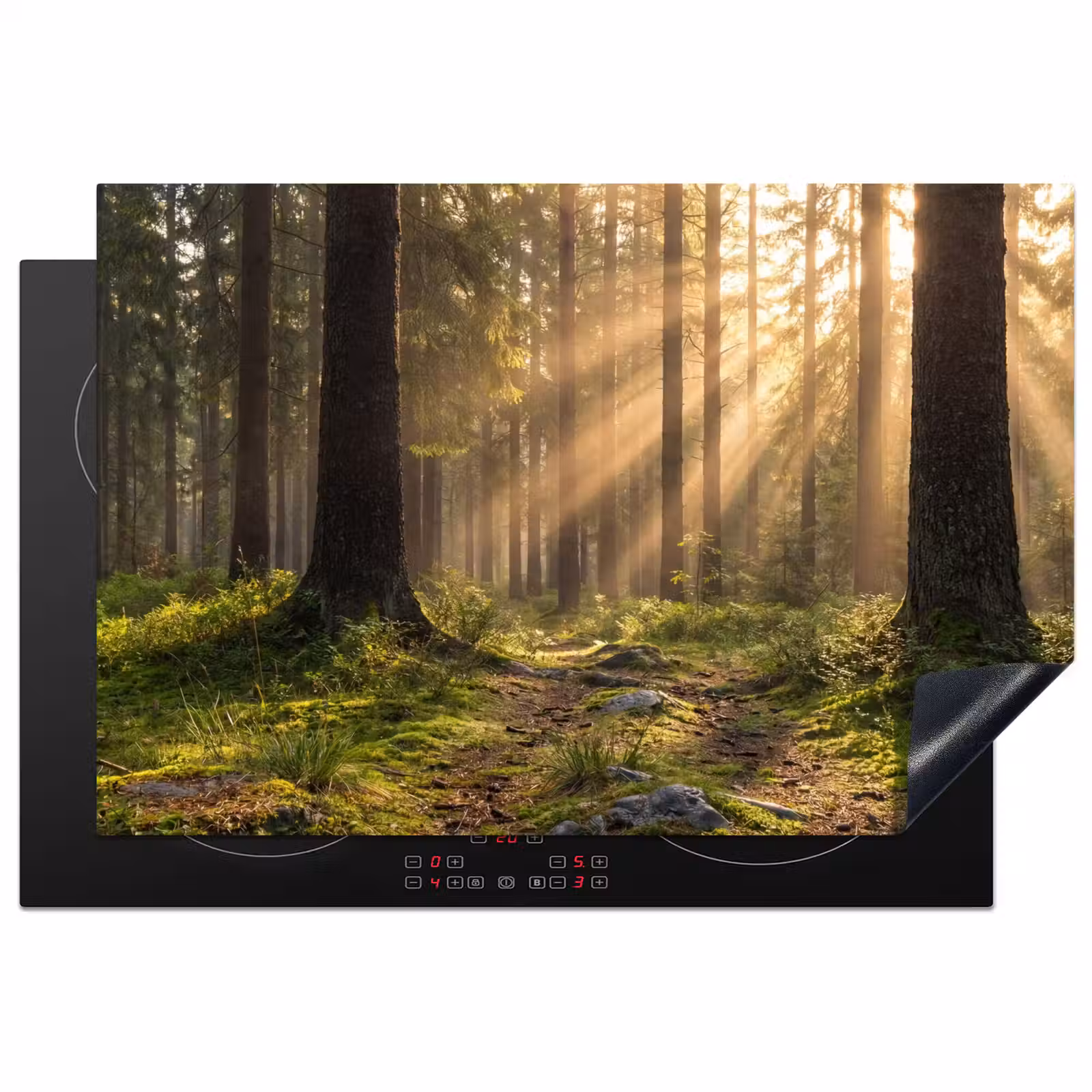 Inductie beschermer - Bos - Zonlicht - Gras — 1