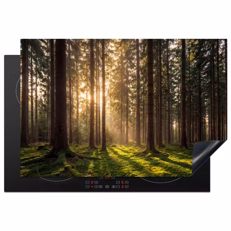 Inductie beschermer - Bos - Gras - Zonlicht — 1