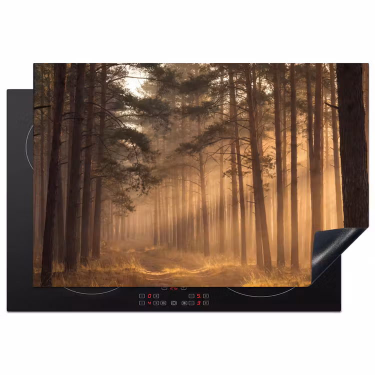Inductie beschermer - Bos - Mist - Zonlicht — 1