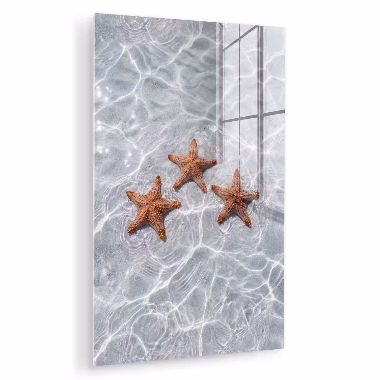 Glas schilderij - Zeesterren - Water - Helder — 1