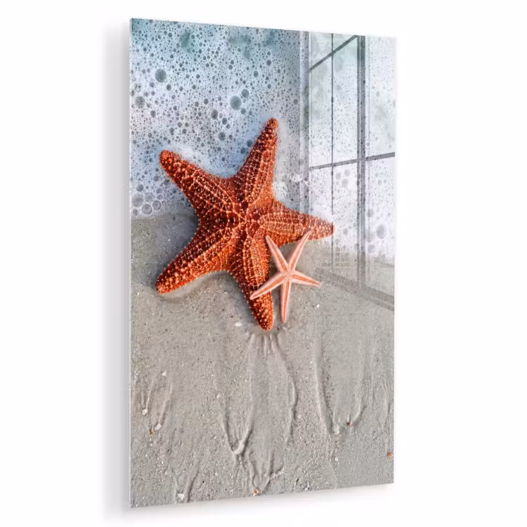 Glas schilderij - Zeester - Strand - Zee — 1