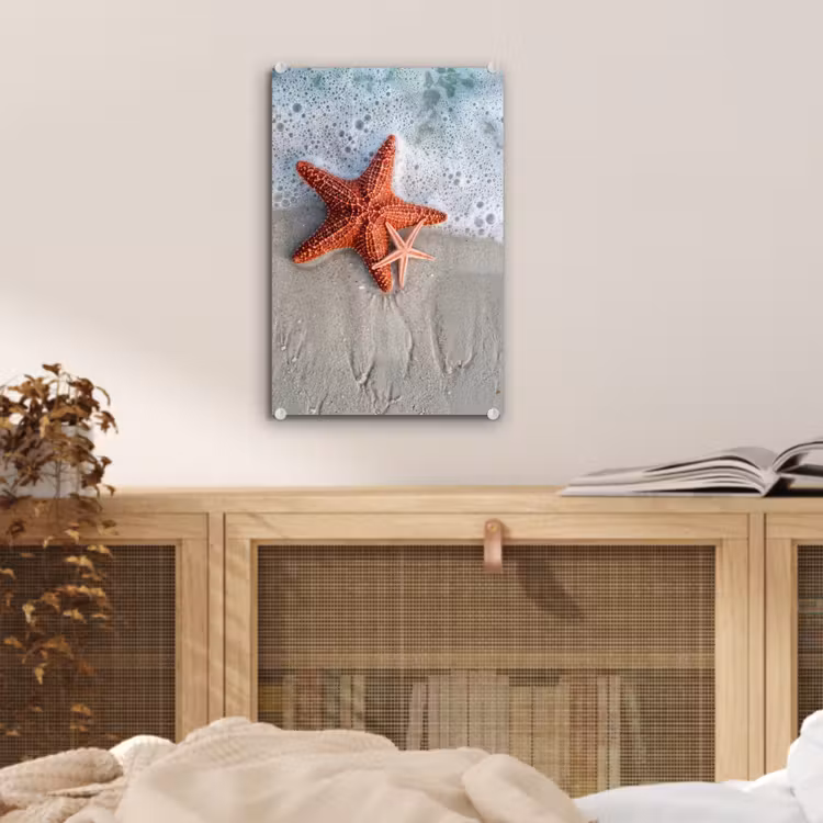 Glas schilderij - Zeester - Strand - Zee — 5