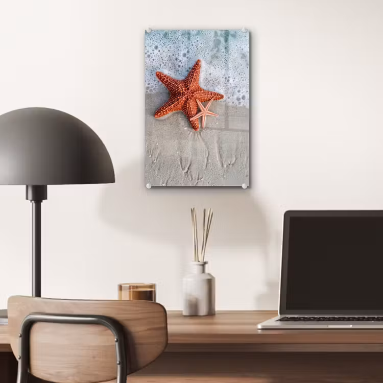 Glas schilderij - Zeester - Strand - Zee — 7