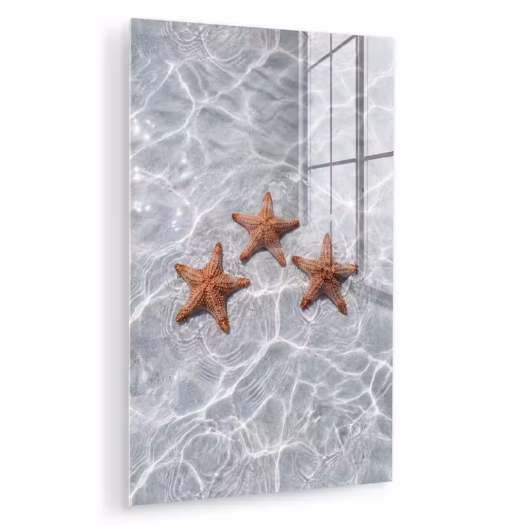 Glas schilderij - Zeesterren - Water - Helder — 1