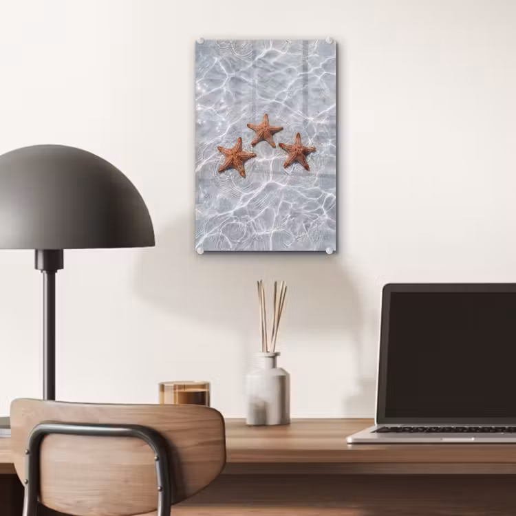 Glas schilderij - Zeesterren - Water - Helder — 7