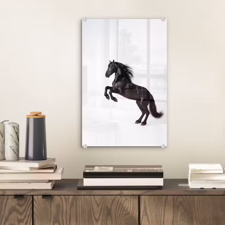 Glas schilderij - Zwart - Paard - Portret — 2