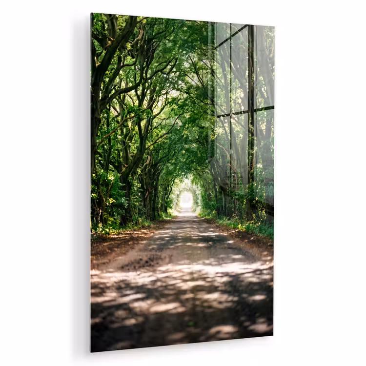 Glas schilderij - Weg - Bomen - Natuur - Groen — 1