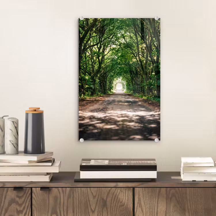 Glas schilderij - Weg - Bomen - Natuur - Groen — 2