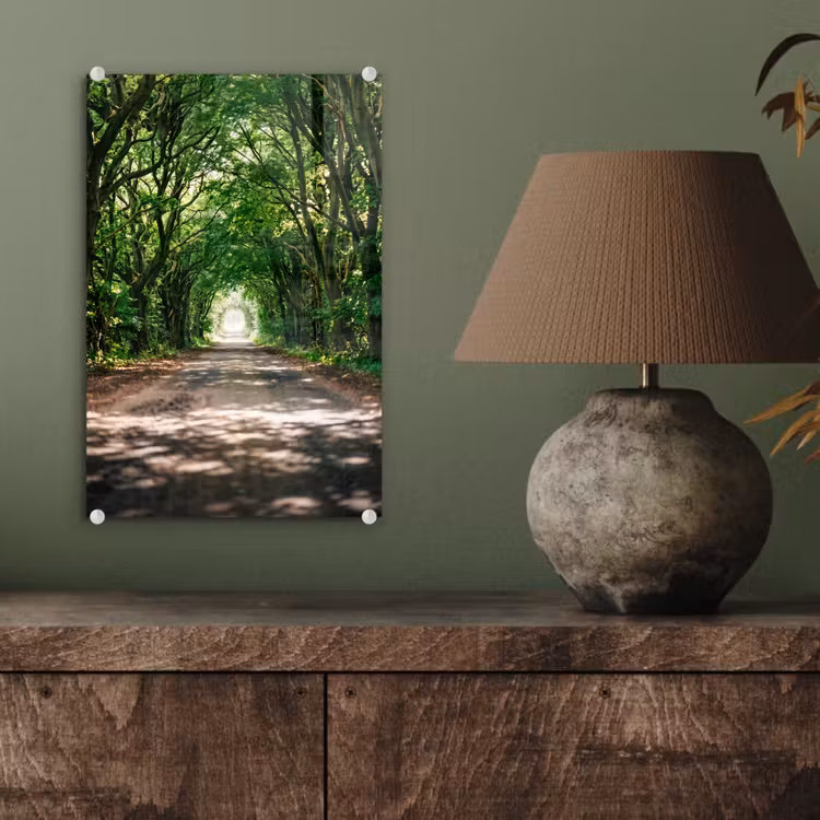 Glas schilderij - Weg - Bomen - Natuur - Groen — 4