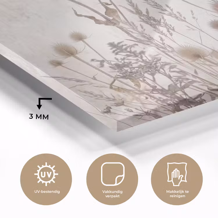 Glas schilderij - Weidebloemen - Design - Sepia — 3