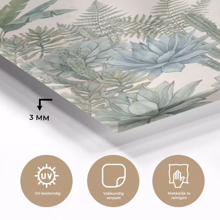 Glas schilderij - Woestijn - Planten - Groen — 3